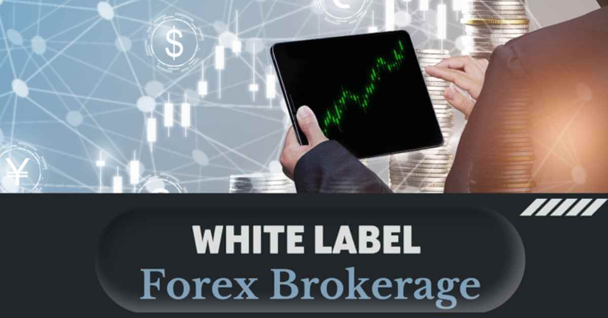 8 Steps To Building A Strong Forex Brokerage Using A White Label Solution