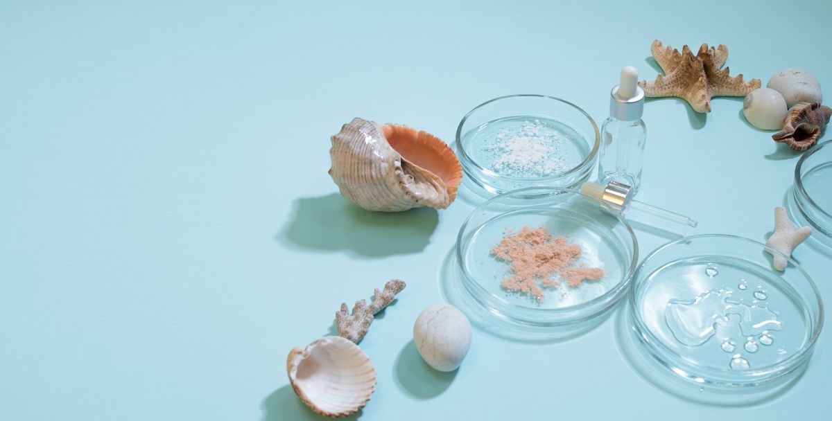 Everything You Need to Know About Marine Collagen