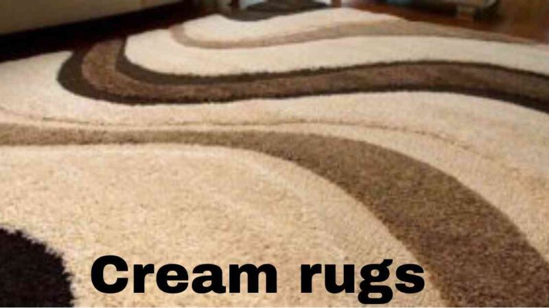 Transform Your Sleep Space with Cream Rugs: A Comprehensive Review