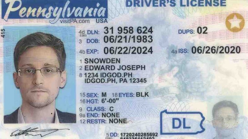 The Different Types of Fake IDs You Can Buy Online at idgod