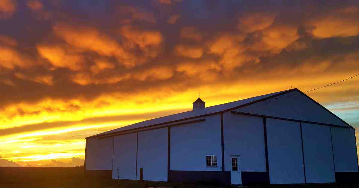 The Step-by-Step Guide to Building Your Farm Shed