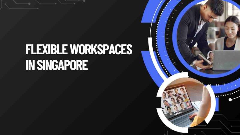 Resilience Amidst Market Challenges: The Future of Flexible Workspaces in Singapore