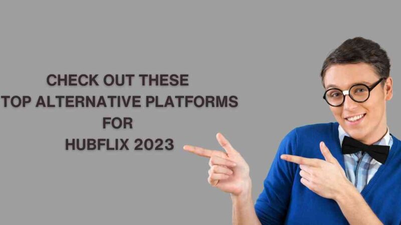 Check Out These Top Hubflix Alternatives Platforms in 2024