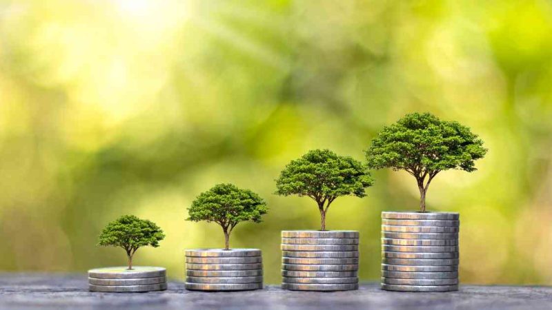 Join the BFF: Your Guide to Financial Freedom