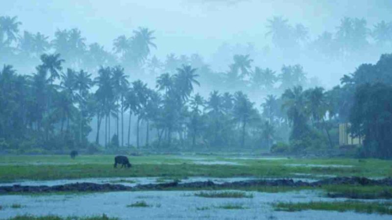 Monsoon Magic: Why Kerala Tour Packages Are Perfect in the Rainy Season