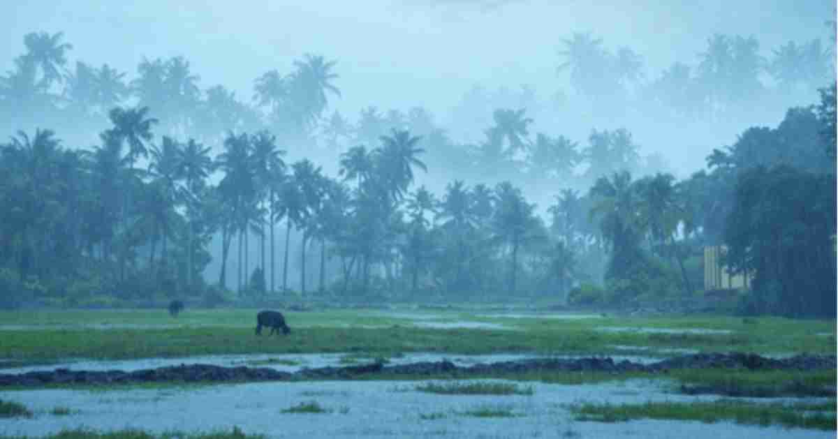 Monsoon Magic: Why Kerala Tour Packages Are Perfect in the Rainy Season
