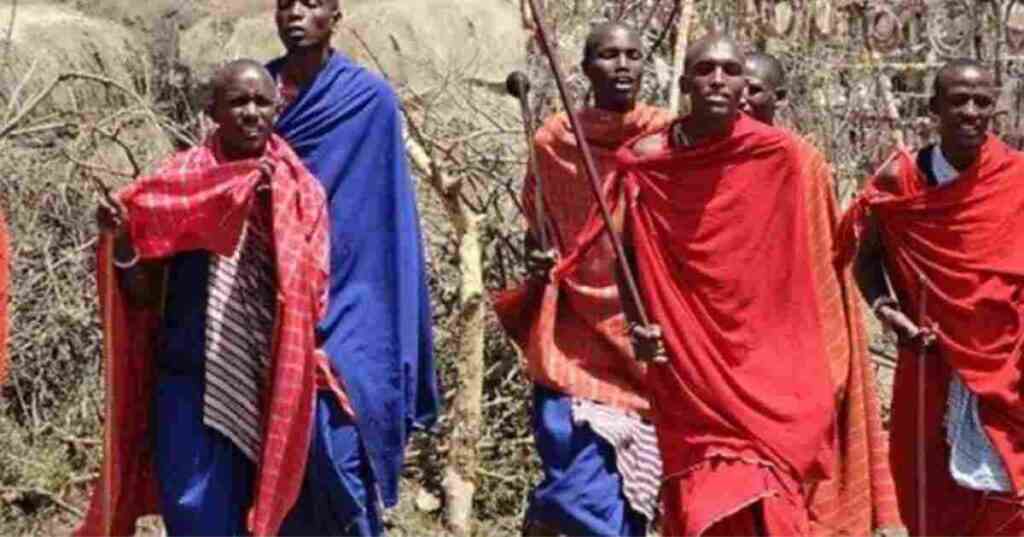 Maasai culture