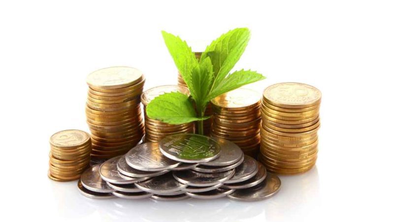 Benefits and Considerations of Opening Fixed Deposits Through Digital Platforms