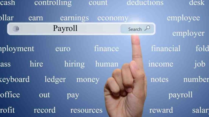 Questions To Ask Before Hiring External Payroll Services