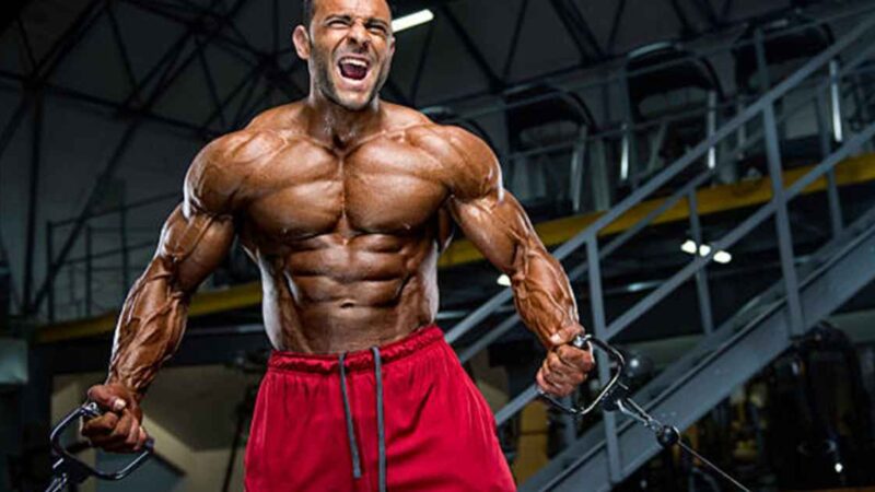 Optimizing Energy Levels: How Pre-Workout Supplements Improve Endurance and Stamina