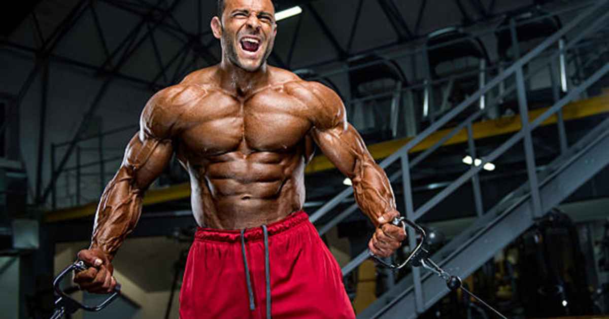 Optimizing Energy Levels: How Pre-Workout Supplements Improve Endurance and Stamina
