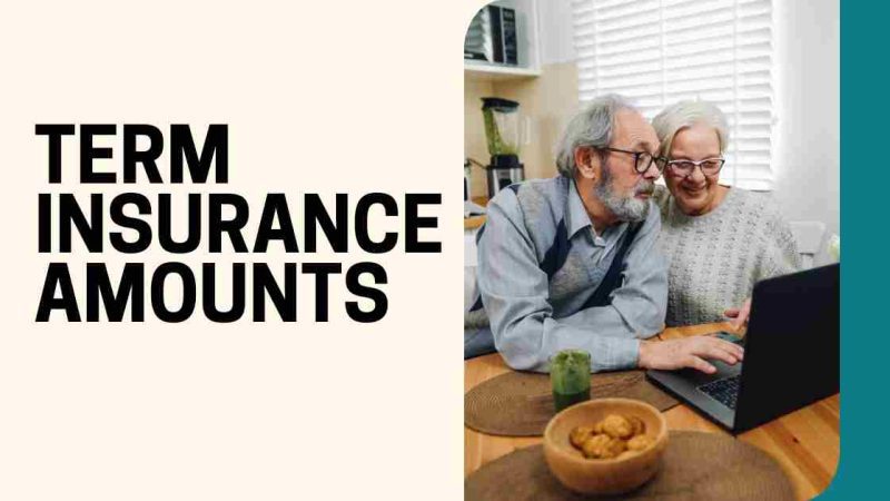 Factors seniors should consider when selecting term insurance amounts