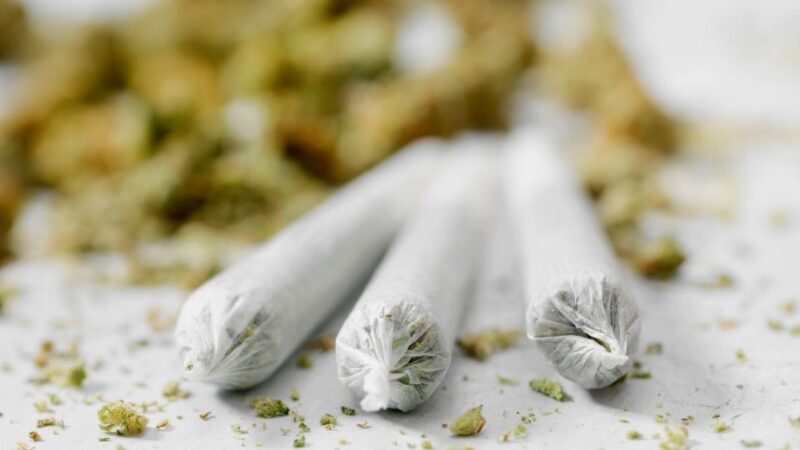 The Ultimate Guide to Pre-Rolls: How to Choose the Right Kind of Pre-Rolls
