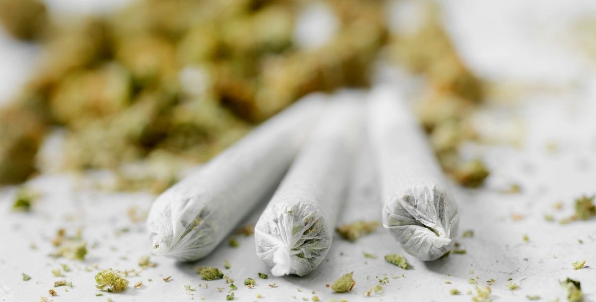 The Ultimate Guide to Pre-Rolls: How to Choose the Right Kind of Pre-Rolls