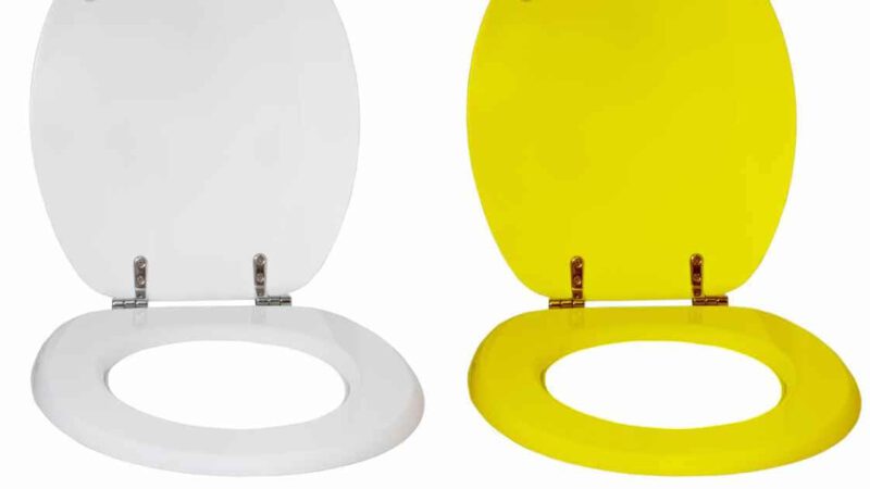 The Ultimate Guide to Toilet Seats: Everything You Need to Know