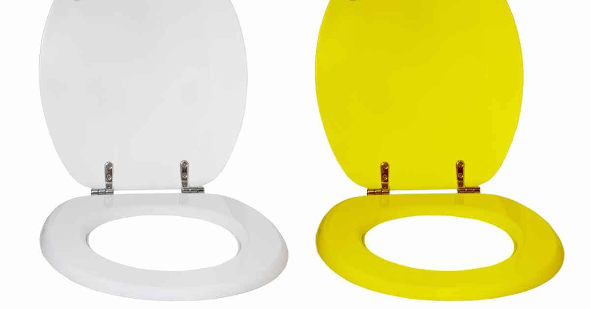 The Ultimate Guide to Toilet Seats: Everything You Need to Know