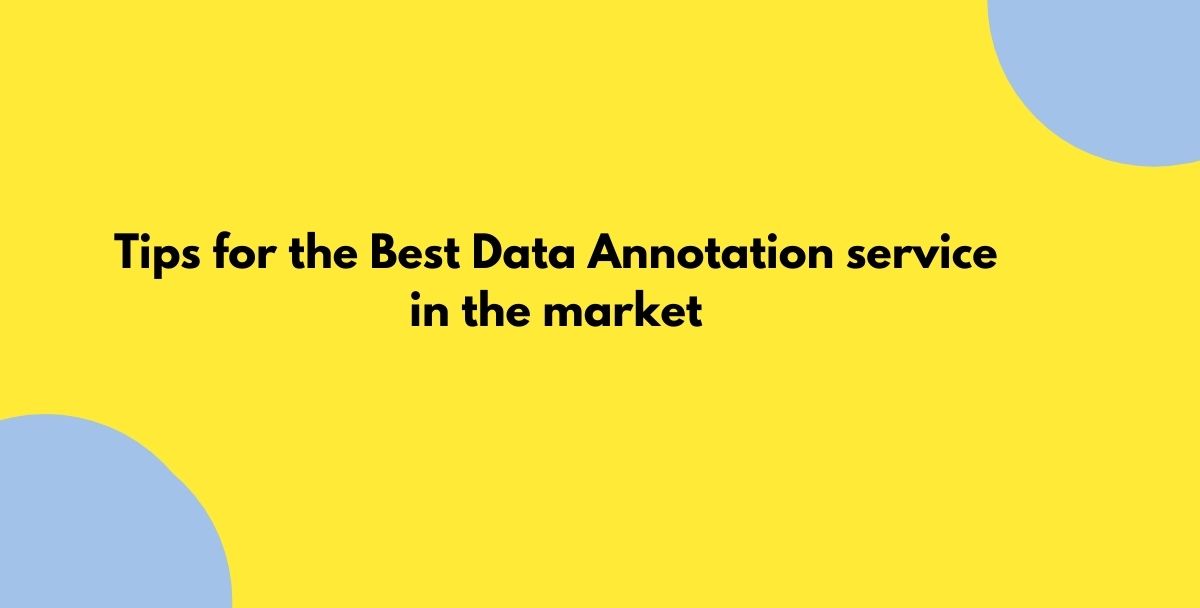 Tips for the Best Data Annotation service in the market