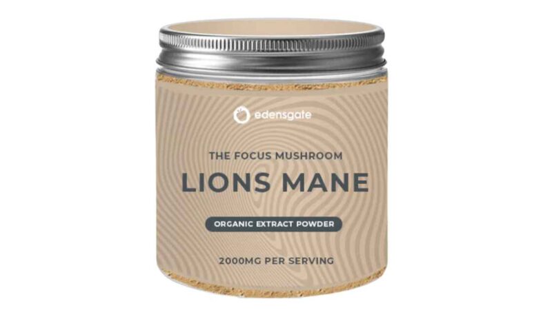 The Uks Fascination with Lions Mane Understanding The Hype