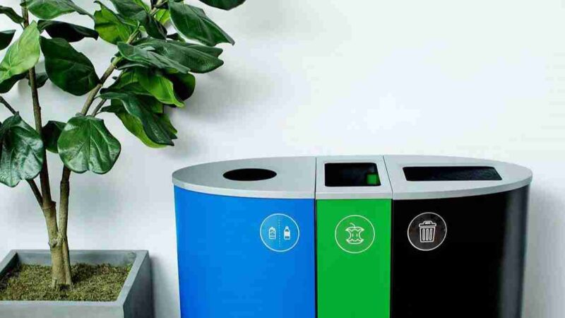 Step-by-Step Guide for Conducting a Waste and Recycling Audit