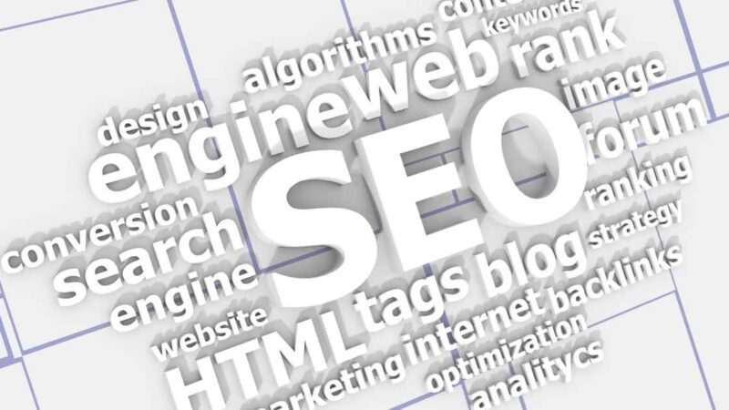 White Label SEO Services in India: The Ultimate Guide for Agencies and Resellers