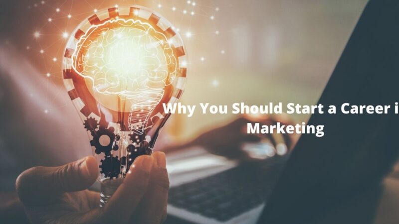 Why You Should Start a Career in Marketing