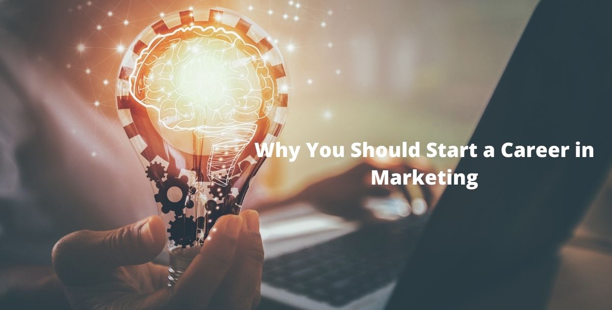 Why You Should Start a Career in Marketing