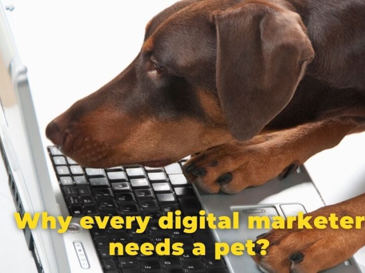 Why every digital marketer needs a pet?