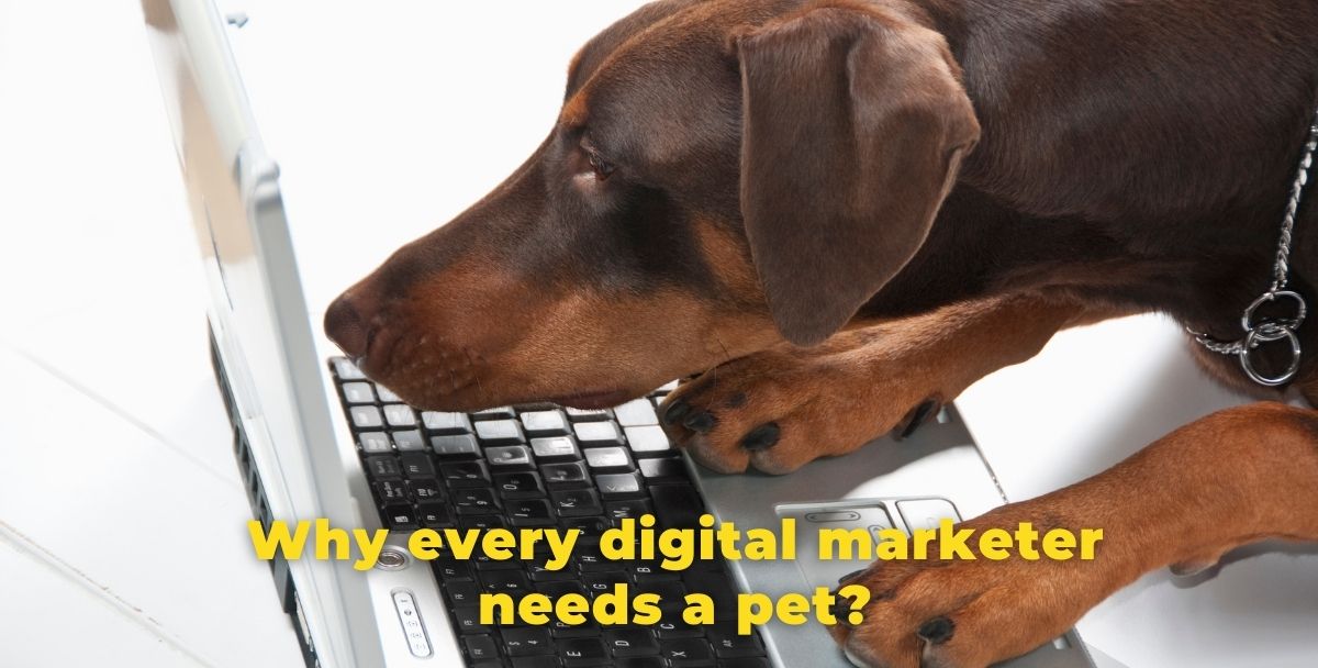 Why every digital marketer needs a pet?