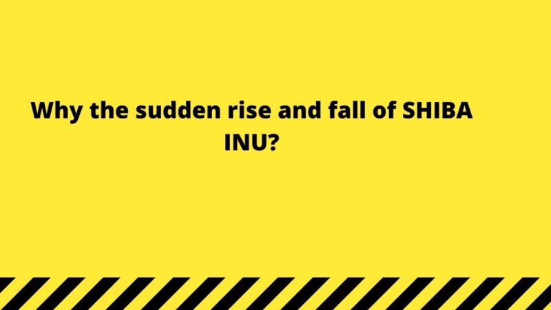 Why the sudden rise and fall of SHIBA INU?