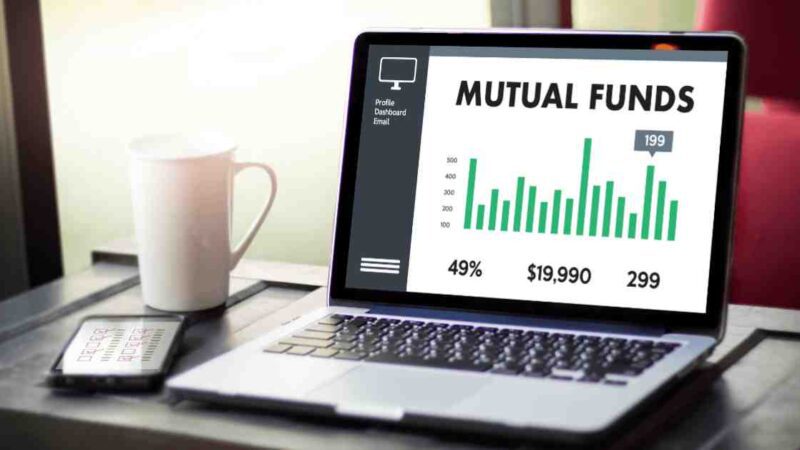 Which Type of Mutual Fund is Long Term?