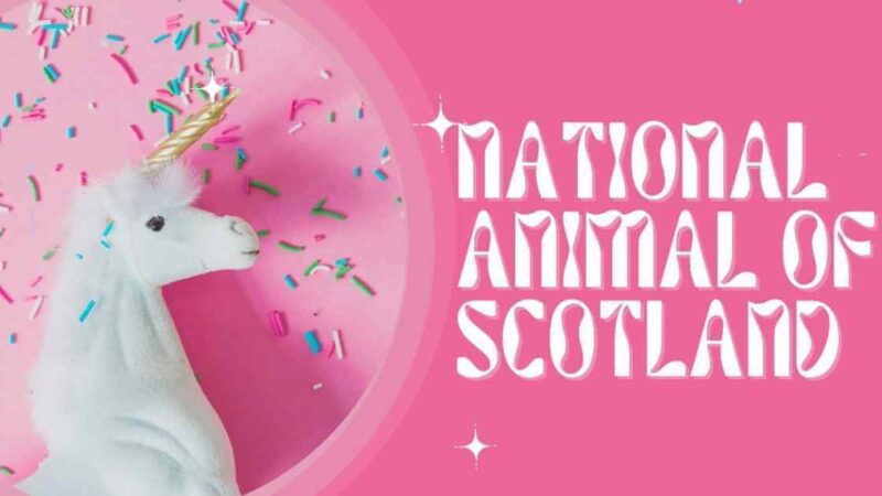 What is the National Animal of Scotland?