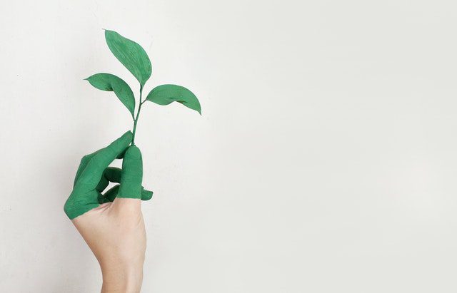 Tips To Make Your OEM Operations More Eco-friendly